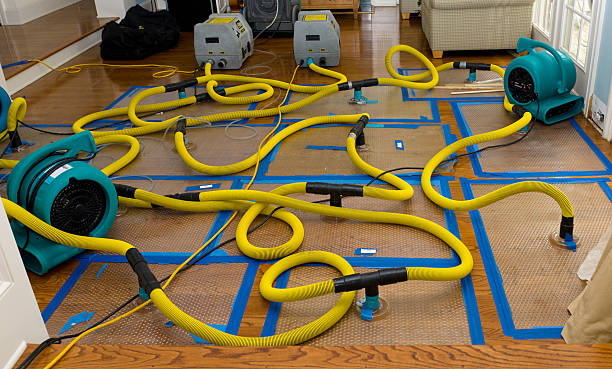 Professional Water Extraction technician working in Vincent, IA